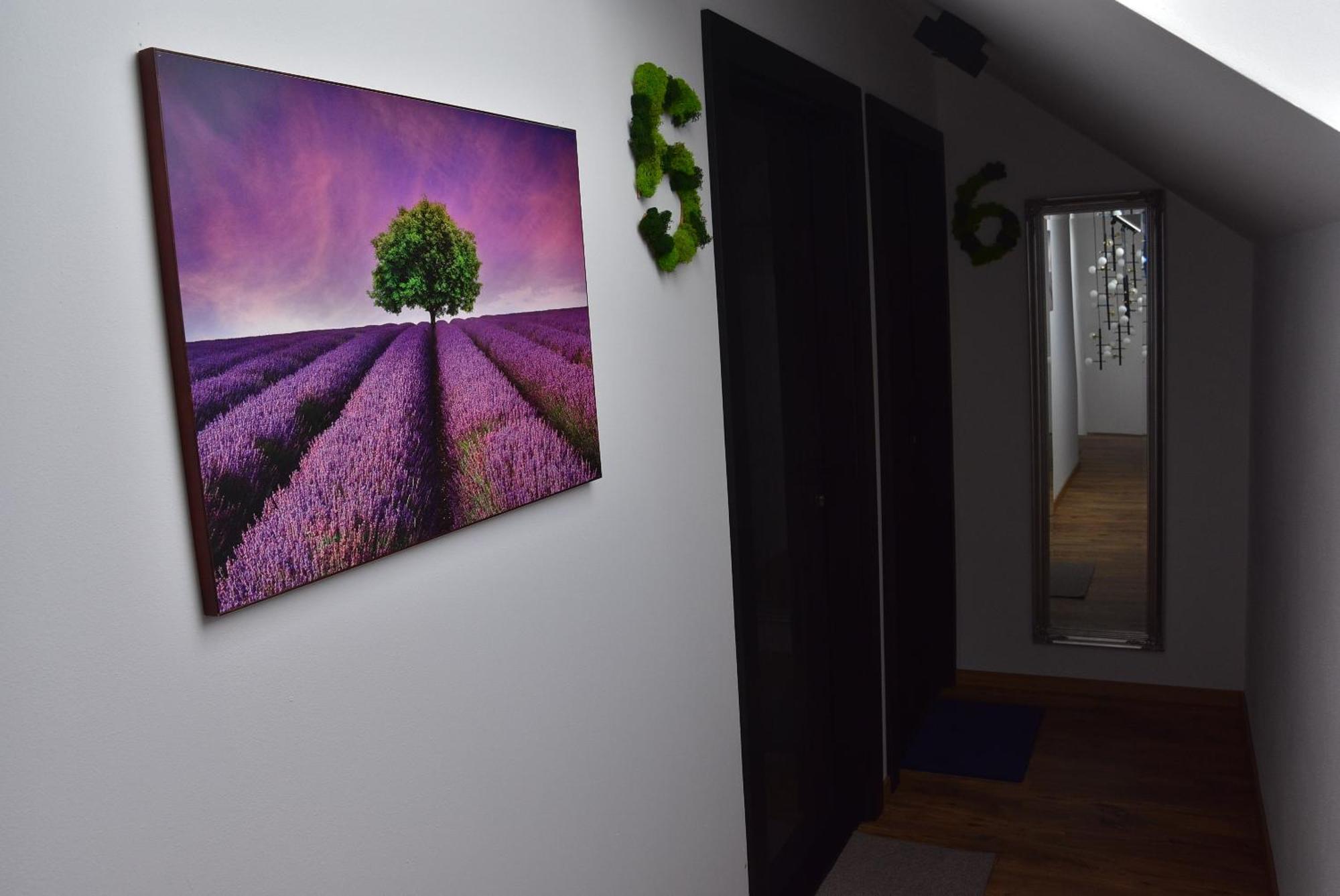 Apartmany Zakovce & Spa Vel'ka Lomnica Dış mekan fotoğraf